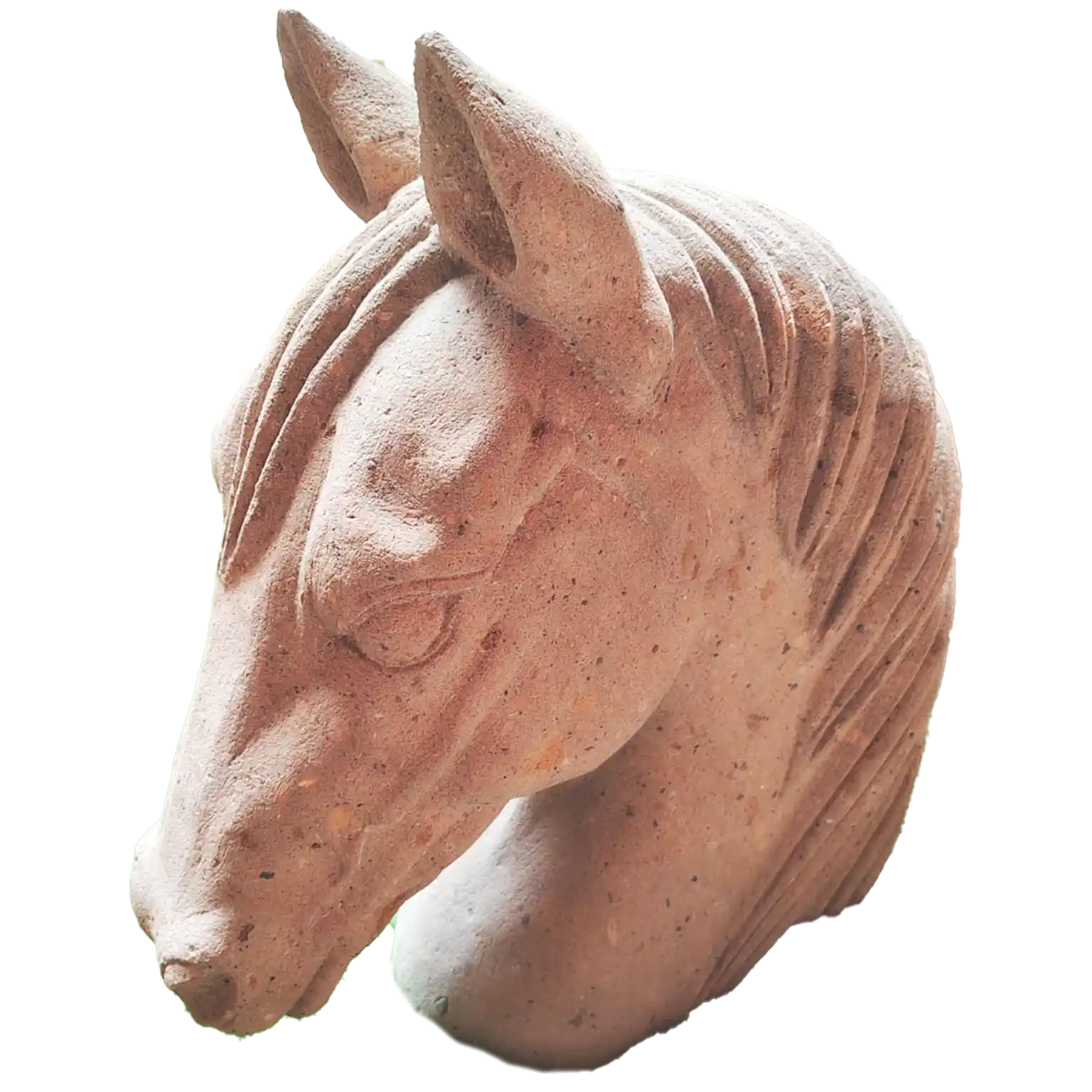 Caballo Naranja