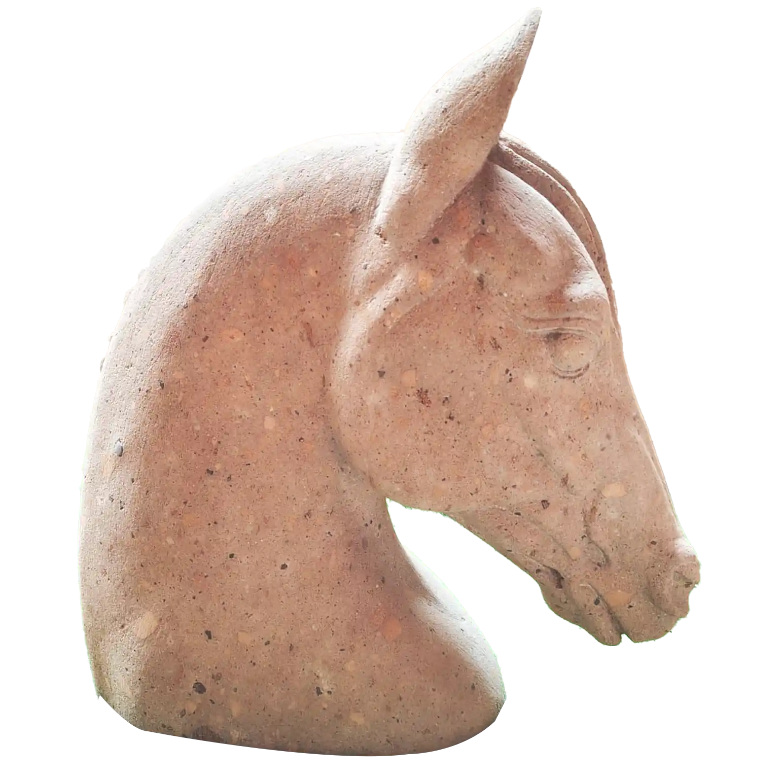 Caballo Naranja - Image 2
