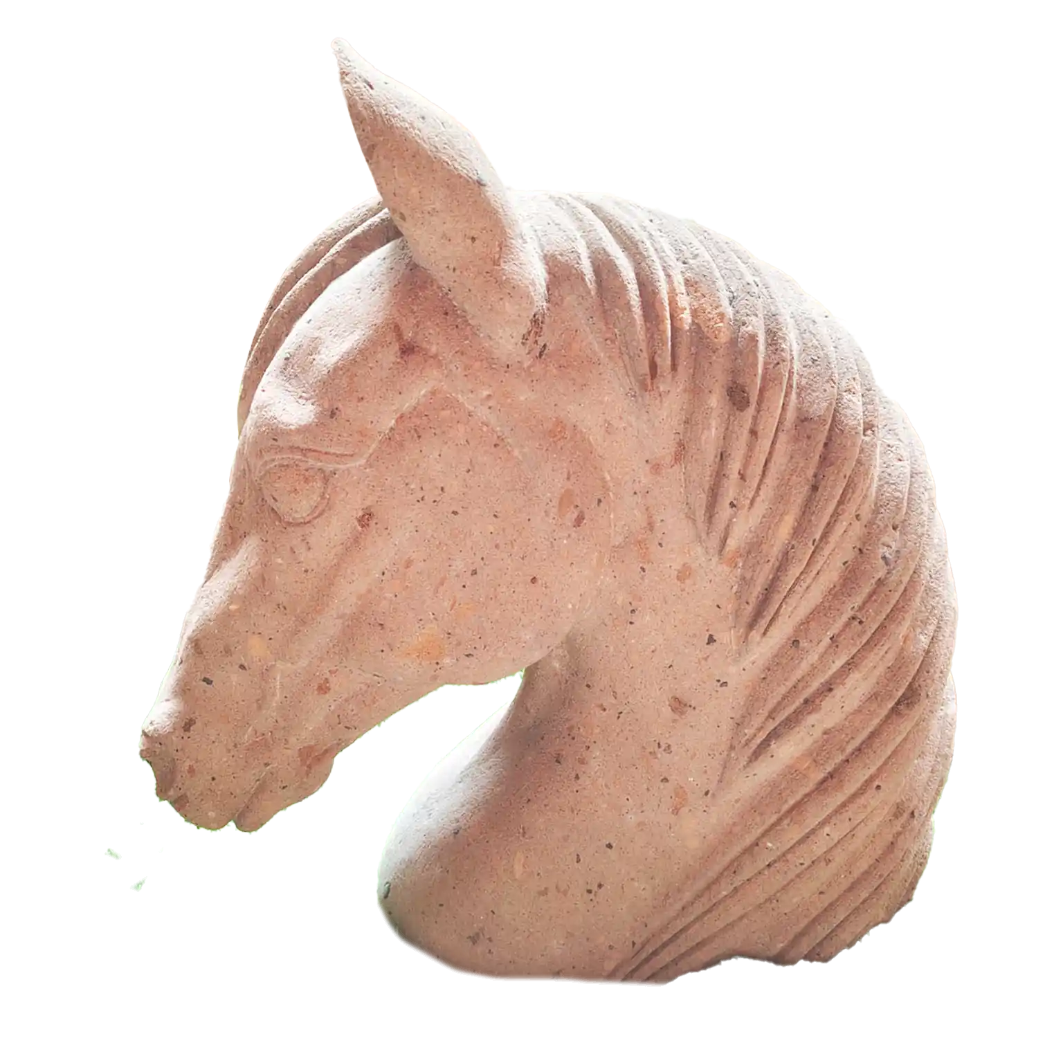 Caballo Naranja - Image 3
